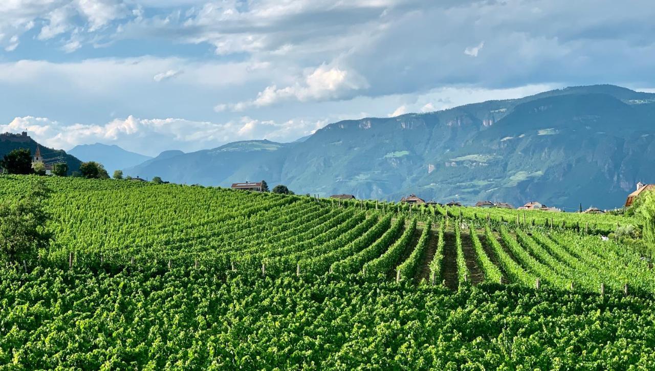 شقة Weingut Gasshof أبيانو سولاّ ستراذا المظهر الخارجي الصورة